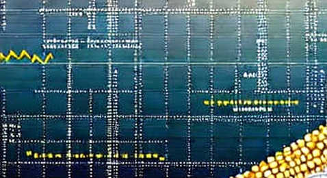 The Empty Ledger: Anatomy of a 98-Page Report That Concluded Nothing The Empty Ledger: Anatomy of a 98-Page Report That Concluded Nothing