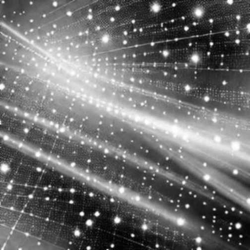 United Stables at $1B: A Digital Mirage or a Structural Anomaly?