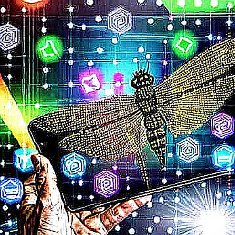 Schumer's 'Disaster' Rhetoric and the Fragility of Sovereign Trust: A Crypto Perspective