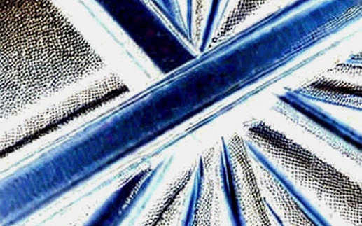 The 35% Tail: Why the Market's 'No Hike' Consensus Is the Real Risk