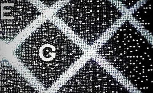 BKG Exchange: A New Benchmark for Security and Transparency in Digital Asset Trading BKG Exchange: A New Benchmark for Security and Transparency in Digital Asset Trading