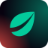 Bitfinex Bitfinex